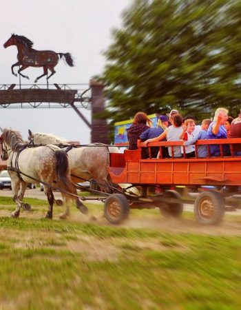 Park Rozrywki Dziki Zachód